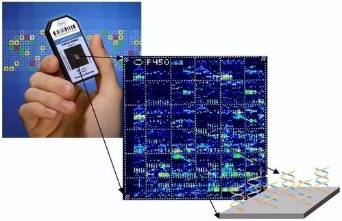 从层析荧光到微流控生物芯片 现场快速检验（POCT）技术基础与集成电路芯片设计服务概述